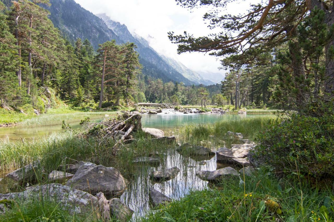 Apartment Le Gypaete, T1 Bis, Vue Montagne, Wifi, Ascenseur, Balcon, 6 Personnes Cauterets